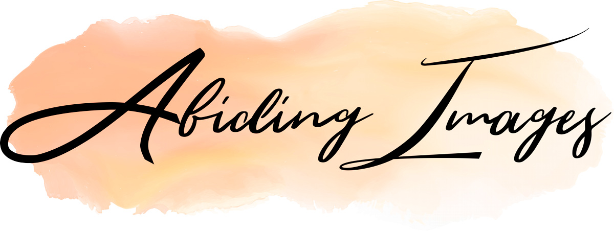 fde-Abiding-Images-Logo