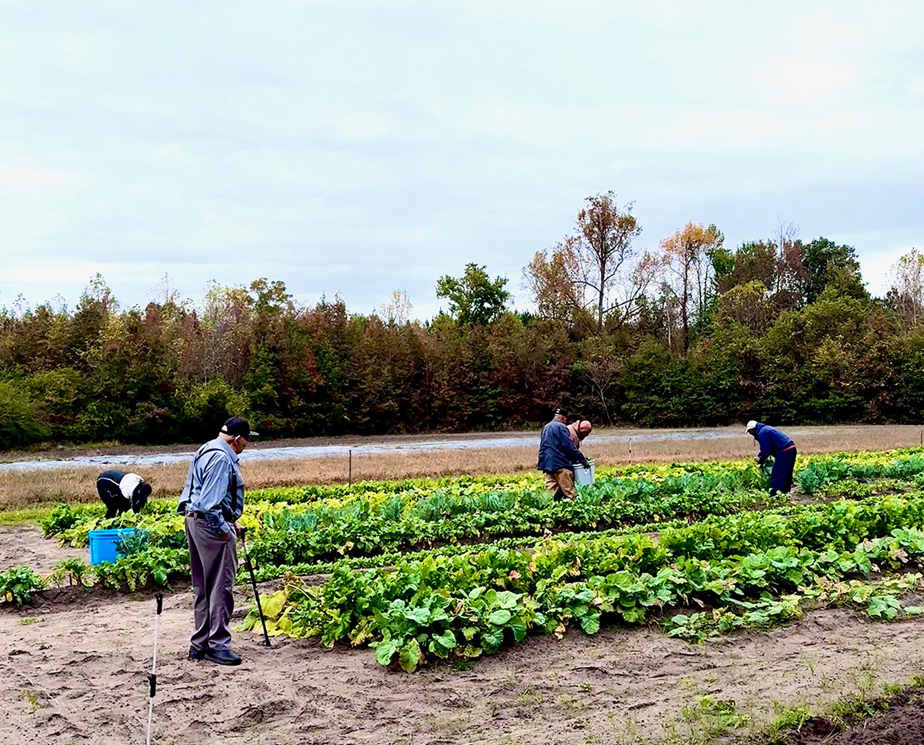 https://www.feastdowneast.org/wp-content/uploads/2025/02/fde-james-family-farm-2.jpg