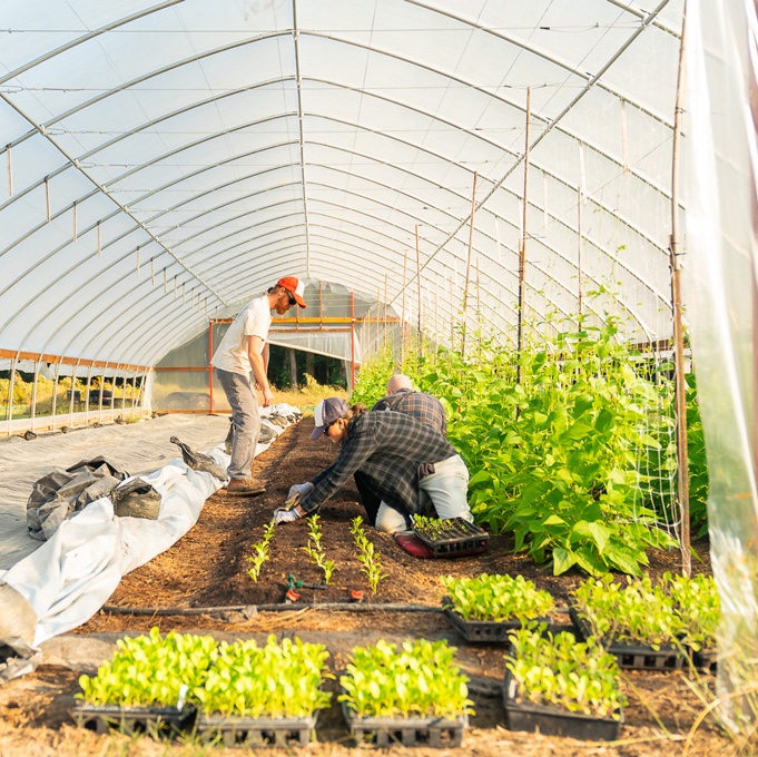 https://www.feastdowneast.org/wp-content/uploads/2025/02/fde-red-beard-farms-square.jpg